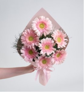 7 pembe gerbera buketi